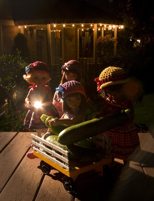 Sneak a Zucchini onto your Neighbour's Porch Night